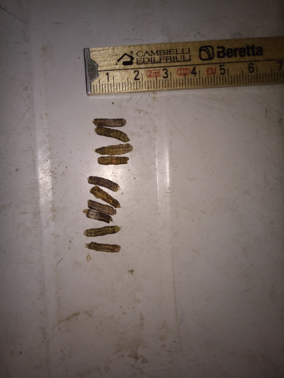 Riconoscimento escrementi